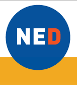 Istoria SAR prezentată într-un studiu recent al Network for Democracy Research Institute (NDRI)
